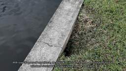 Seawall Savers & Repairs Fort Myers