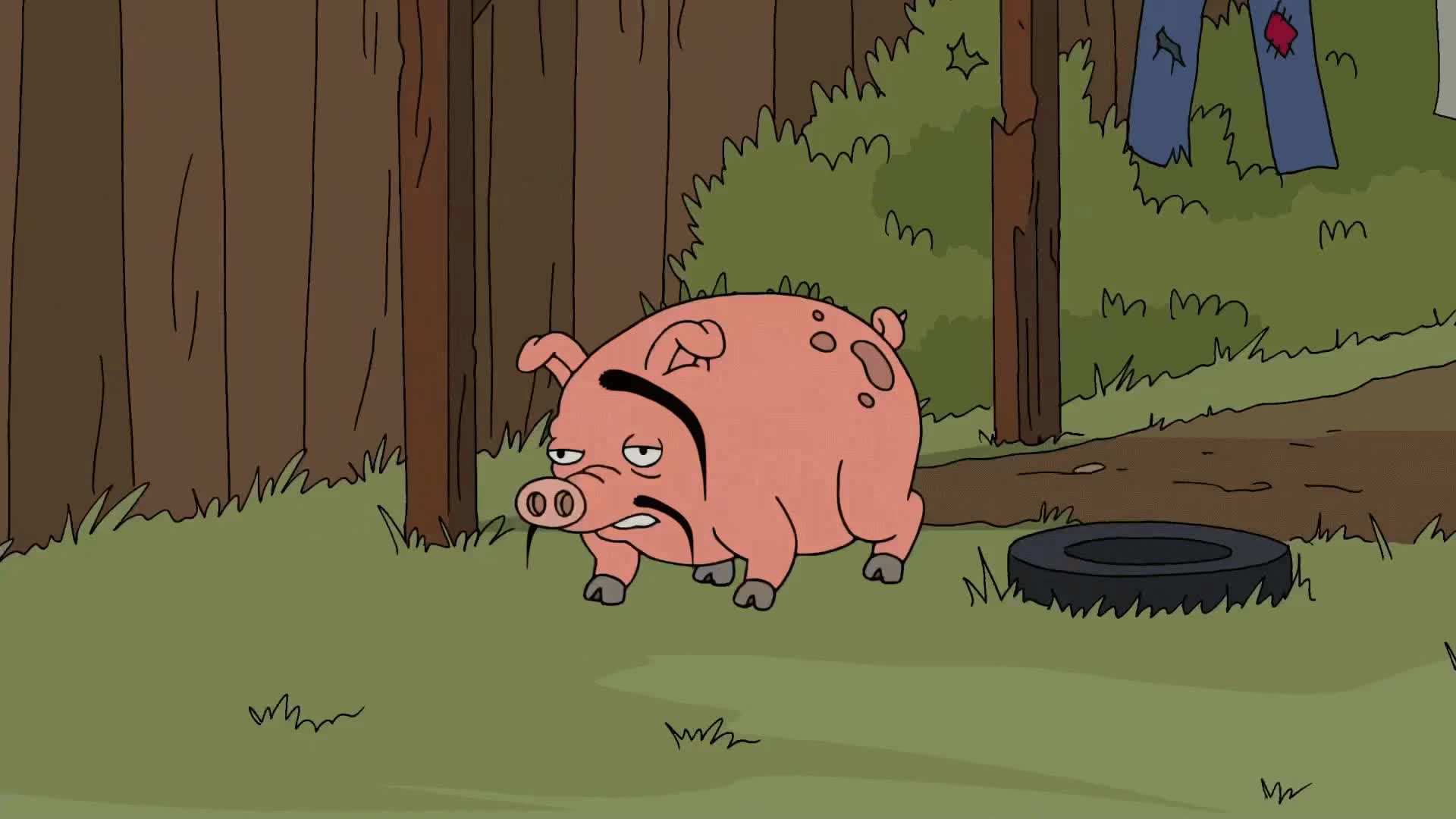 Скакол порвался Скакол порвался