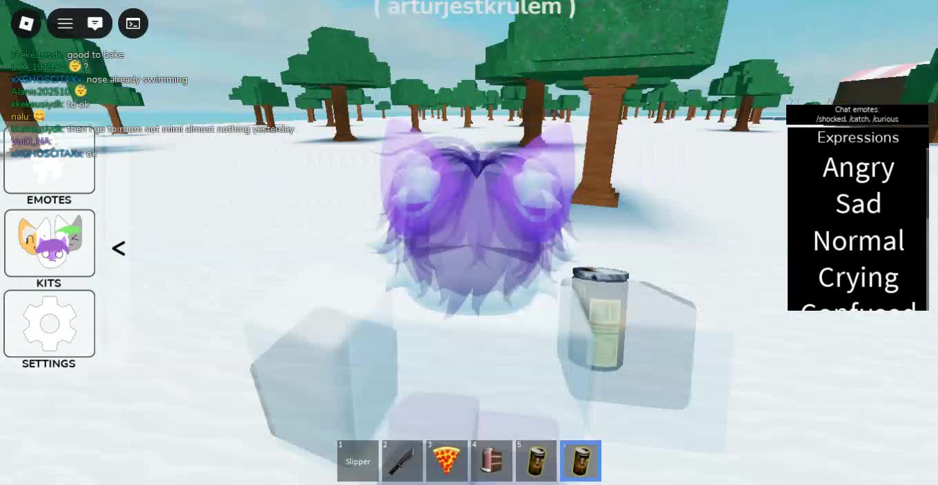 Roblox-2026-01-03T00_01_29.387Z