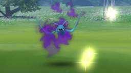 Pokémon GO-Shadow Zubat