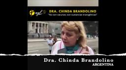 DRA. CHINDA BRANDOLINO - No son vacunas; son sustancias transgénicas, y modifican el ADN