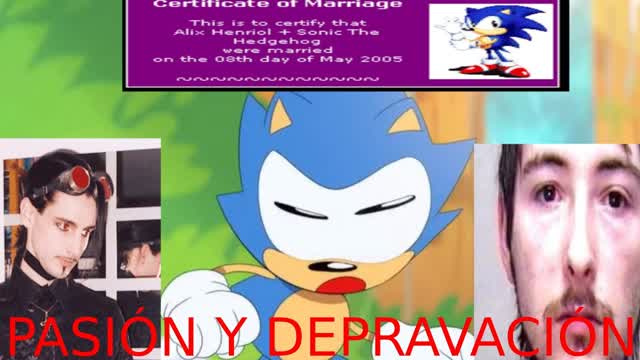 Sonic Pasion y un foro de obsesionados