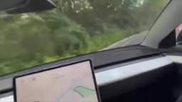 Adrian Zamora crashes his Tesla on his birthday