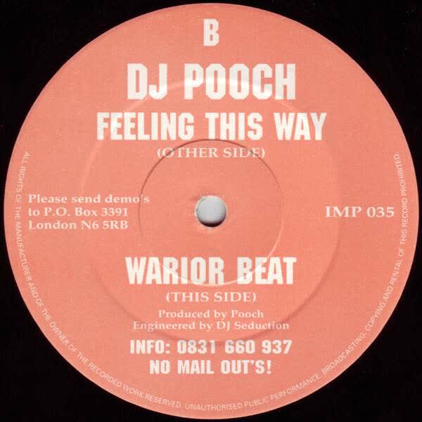 DJ Pooch - Feeling This Way