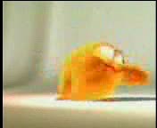 Sweety The Chick gets shot dead in Miami.