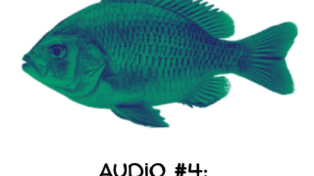 audio #4: [asesinodeltaladro]