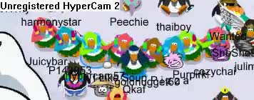 hawaii penguins