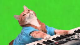 Keyboard Cat-The Toy!