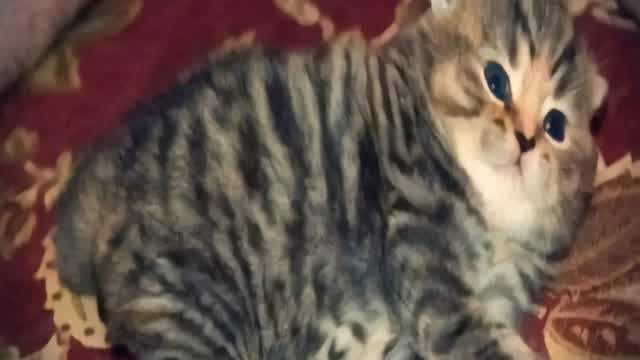 do i have a fighting chance guys? lmk i needa know or ima go to redit and be sad with the repleys