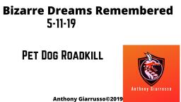 Bizarre Dreams Remembered  5-11-19 Pet Dog Roadkill