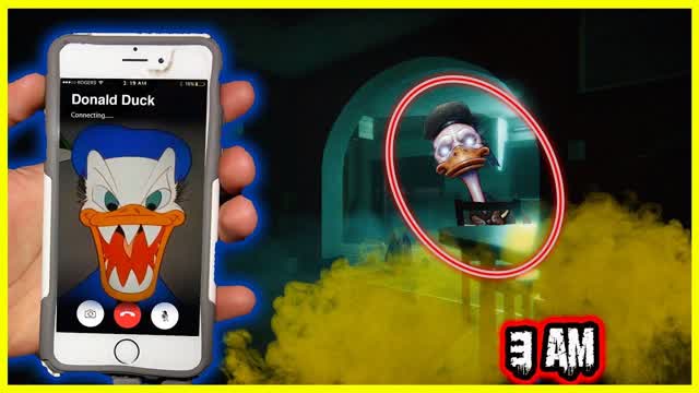 duck spin