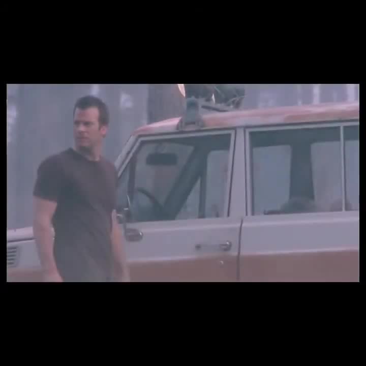 The Mist If It Was Made in 2007