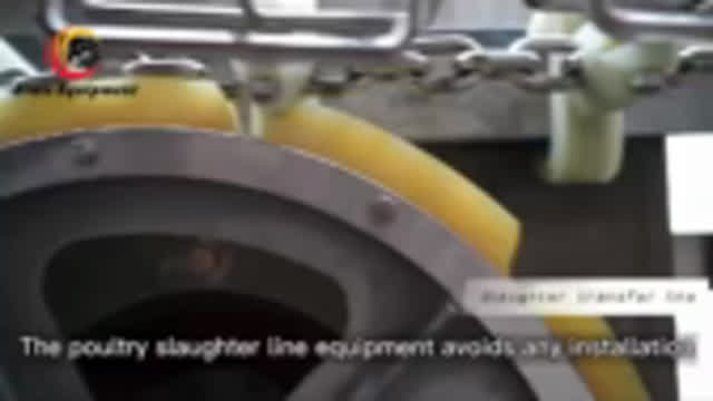 Most Affordable and efficient Automatic Compact Slaughter Line