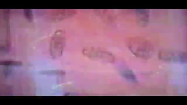 Tainted Neurocosmos Simulacra