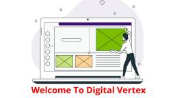 Digital Vertex : #1 Web Designers in Calabasas, CA