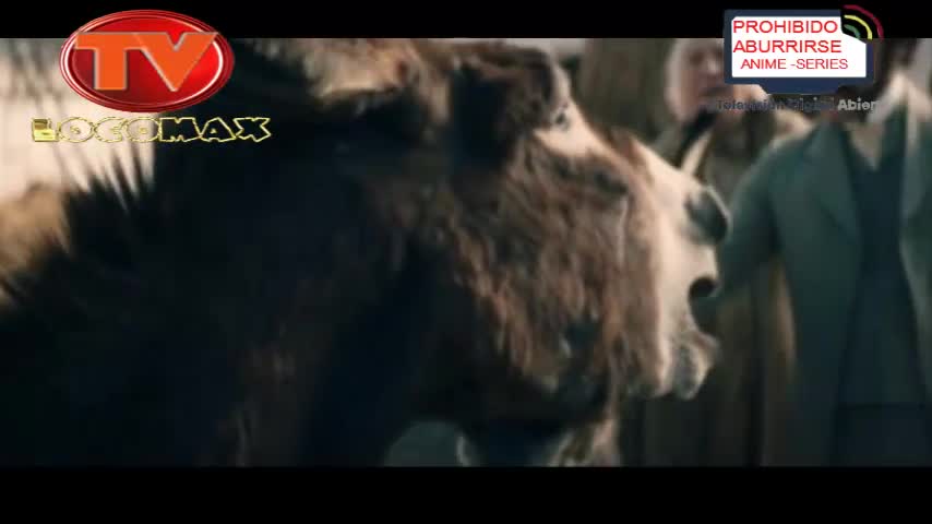 LocomaxTv Bolivia Anime Junio 2026 LocomaxTv Bolivia Anime Junio 2026