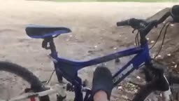 bike falling over.wmv