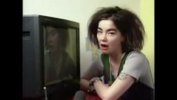 björk talking about her TV