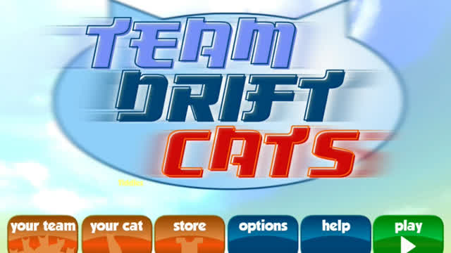 Team Drift Cats (2014)