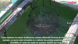 Malha/Rede para cultura de moluscos pelo sistema de cultivo francês. Malha/Rede ACUAMALLA®