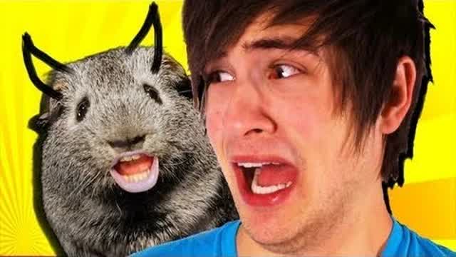 CHARLIE THE DRUNK GUINEA PIG 4