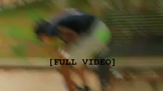 [400 VIEWS SPECIAL] my friend vs dog (full video)