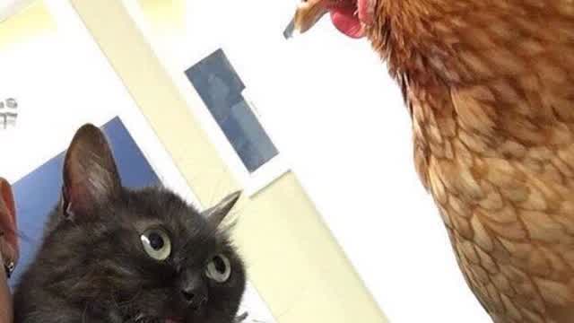 TOP 10 BATALLAS MAS EPICAS DEL ANIME