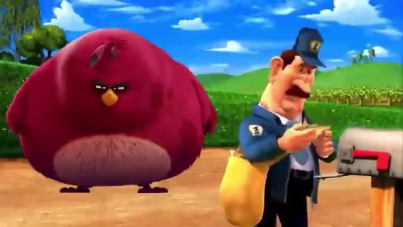 angry bird finds mail man