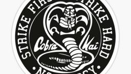 Critica a Cobra Kai