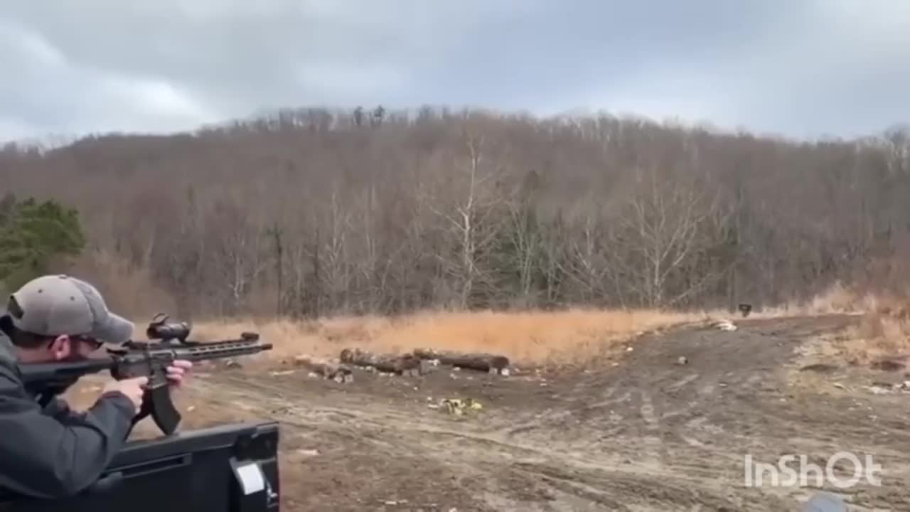Bonk