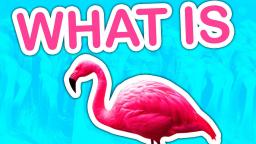 What is Flamingo?
