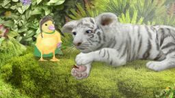 Salven a la tigresa de bengala