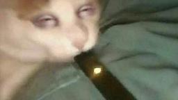 ‎‎‎‏‏‎ ‎