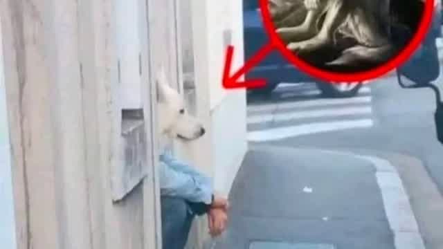 memes rancios que me robe de instagram 3