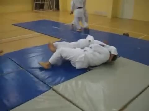 Aiki-Wrestling