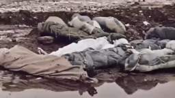 Documentary footage about the atrocities of the Nazi invaders on the territory of the USSR!
