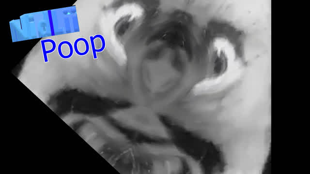 Vidlii Poop: BND of Doom glitches again