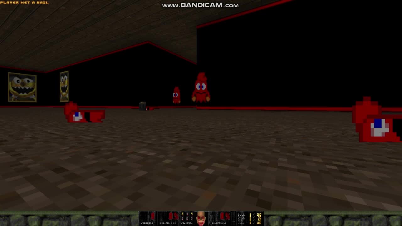 Klonoa DooM - Wolfenstein SS replacement