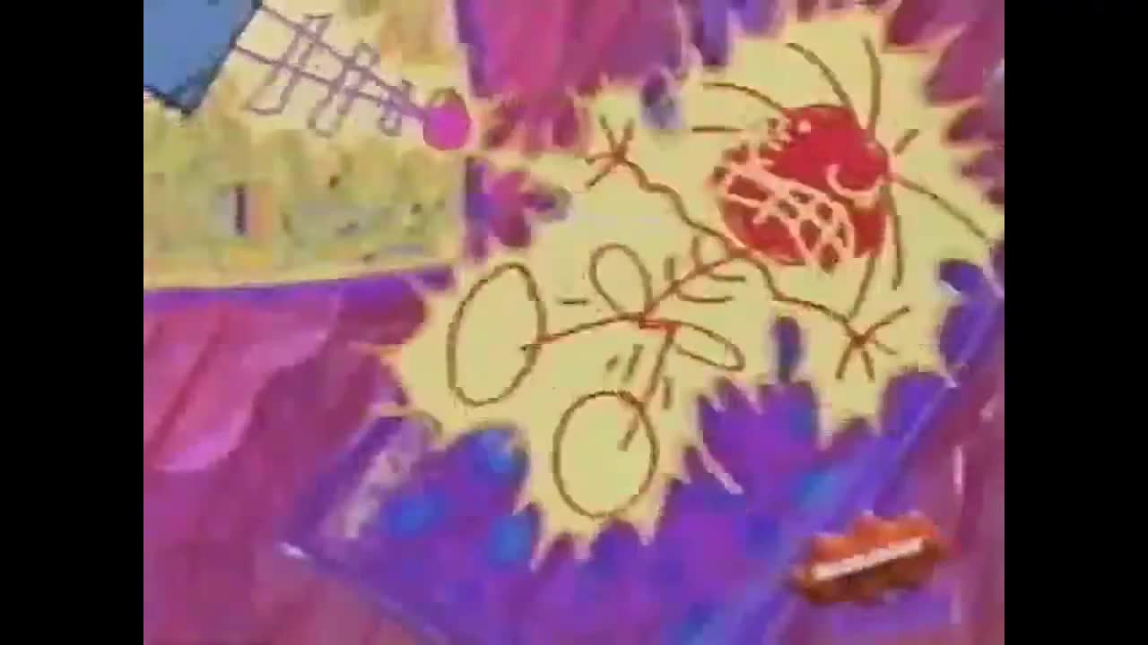 Intro Latino Grafitos Nickelodeon (1998)