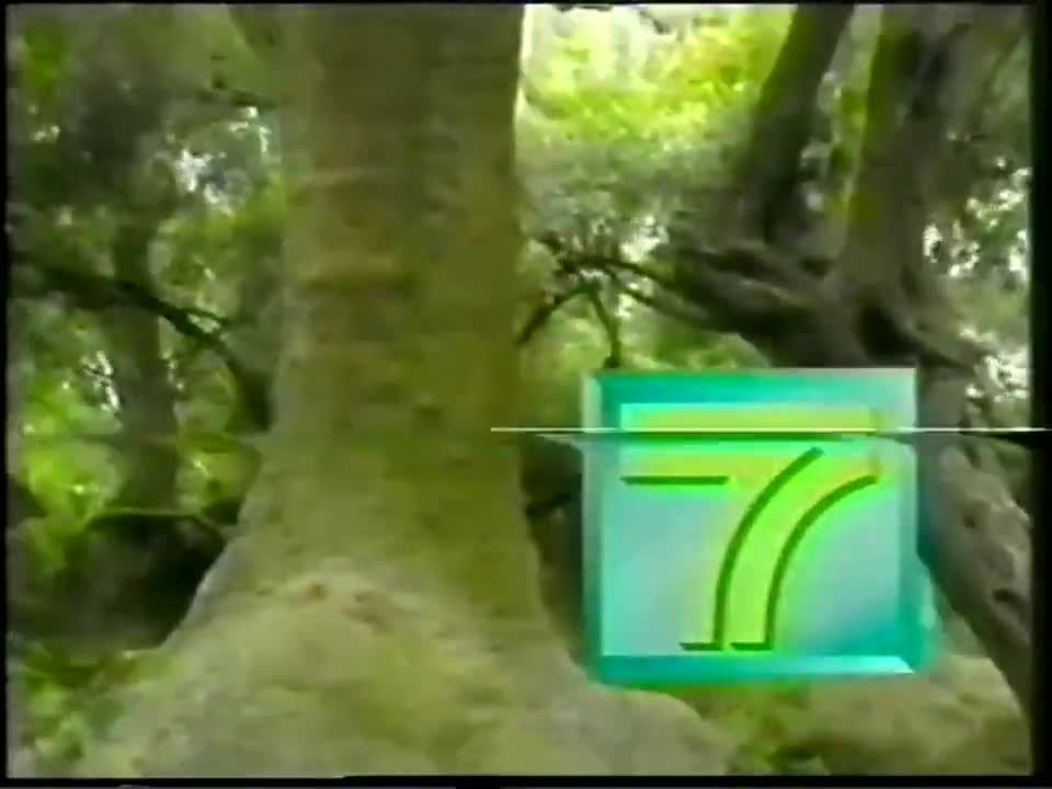 ID Canal 7 Maldonado (1999)