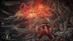 Elden Ring - Malenia, Blade of Miquella Elden Ring - Malenia, Blade of Miquella