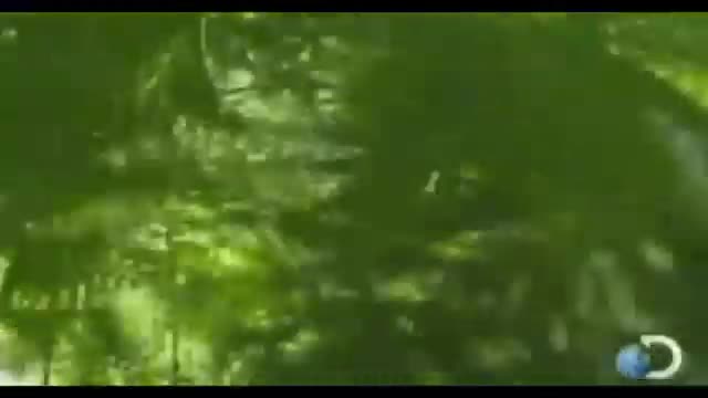 (YTPH) Bear Grylls vuela al rededor de lais