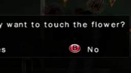 Touch The Flower?