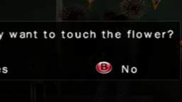 Touch The Flower?