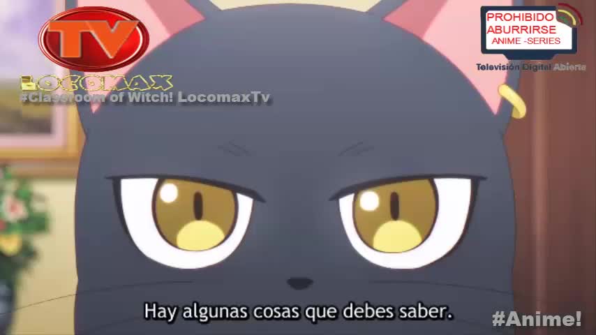 LocomaxTv Bolivia Anime Julio 2026