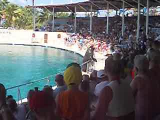 SEAL SINGING OPERA!!!