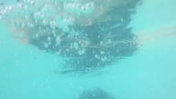 Piscina Endogena