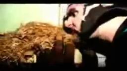 a Youtube Poop by UberNooberPooper a Youtube Poop by UberNooberPooper