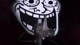 I hate the antichrist