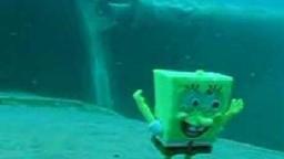 Sponge Bob Dies